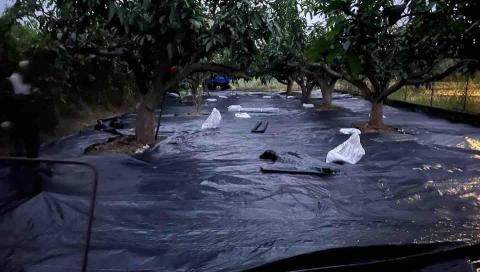 江山園藝景觀企業行 - 