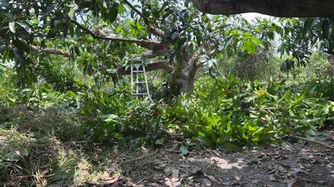 江山園藝景觀企業行 - 