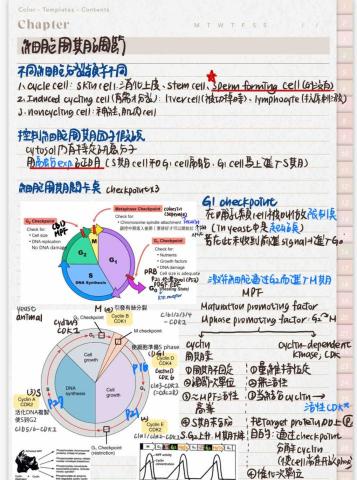 黃禹瑄 - 在蝦皮販售近40本的普通生物學筆記-2