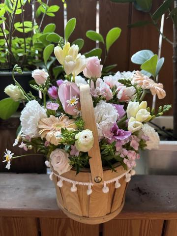 植感物語 -  植感物語 -