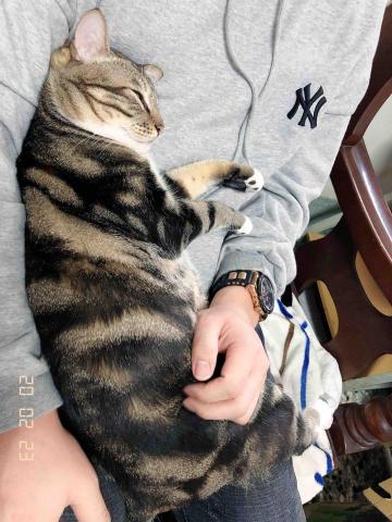 綺綺 - 超愛撒嬌的收編浪浪