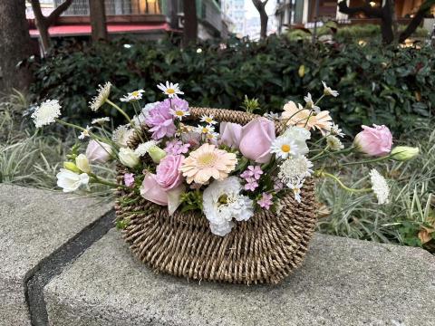 植感物語 -  植感物語 -