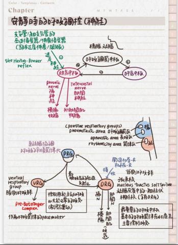 黃禹瑄 - 在蝦皮販售近40本的普通生物學筆記-1