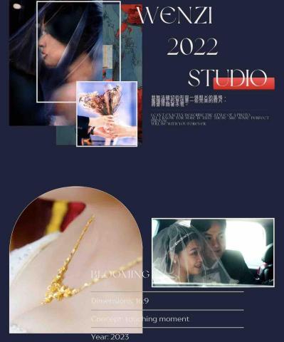 蚊子影像製作 可開立發票 -  蚊子影像製作 可開立發票 -