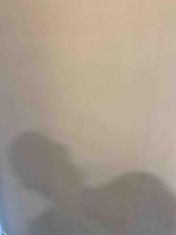 虹力工程 -  虹力工程 -