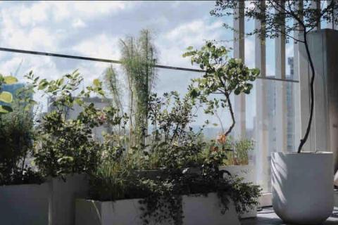 好心情植栽 - 案例分享 - 家居陽台規劃
使用複層種植技巧，得以使不同高度的植栽姿態展露，盡可能貼近自然生長的競爭動態平衡。亦減少土壤裸露，減緩酸化板結之形成。