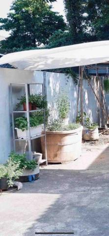 好心情植栽 - 案例分享 - 江舟商行庭院規劃
因業主空間為眷村內半開放式餐廚空間，
以檜木桶植以香草組盆為主要設計，平時下廚料理及活動時得以直接採收入菜!