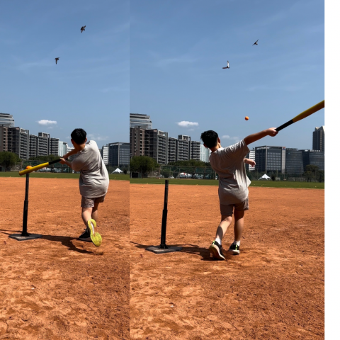 SPSC運動表現科學角落 - 樂樂棒訓練 SPSC運動表現科學角落 - 樂樂棒訓練