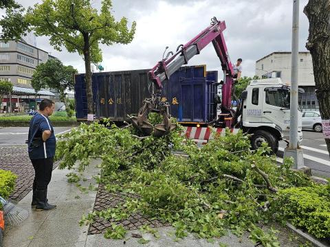 大乘菩提樹有限公司 - 廢棄樹木清運