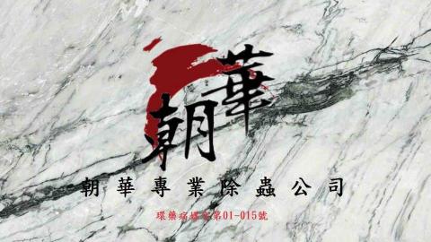 提供除蟲服務的專家朝華除蟲公司