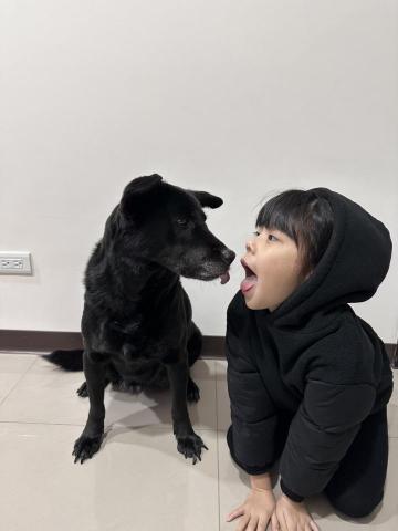 【中壢青埔】汪汪好捧油 🐾 寵物寄宿/安親/日托/遛狗狗 - 玩樂日常：）