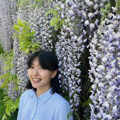 提供ptt爬蟲服務的專家Lynn