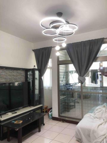 綵稼造型燈飾 - 造型吊扇燈