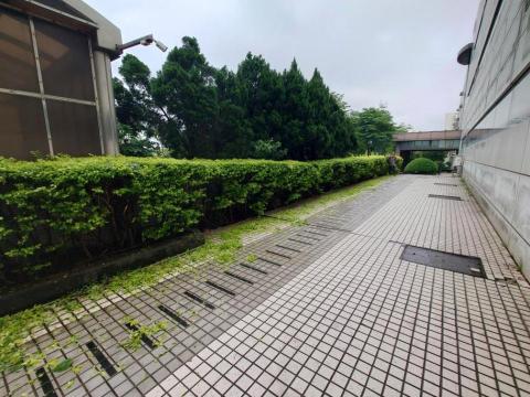 富群工程行 - 綠籬修剪