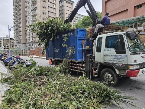 大乘菩提樹有限公司 - 廢棄樹木清運