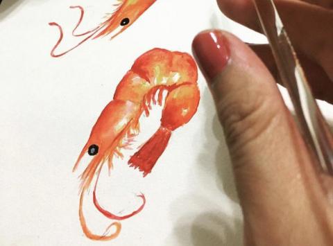 栗子老師 - 美味可口蝦子水彩繪製