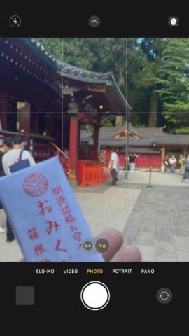 王依庭 - 箱根神社