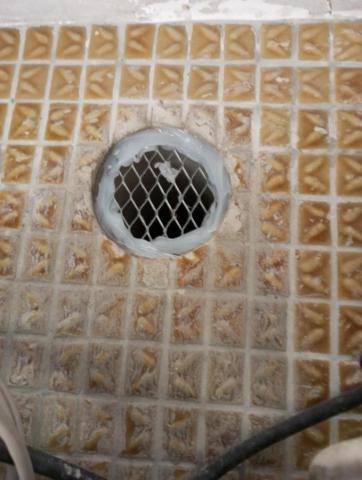 嘉澤滅鼠封堵防治工程 -  嘉澤滅鼠封堵防治工程 -