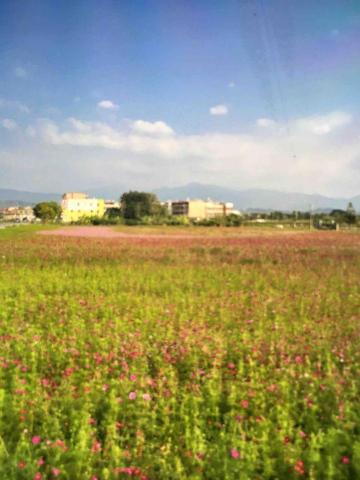 宇特燈光音響 - 