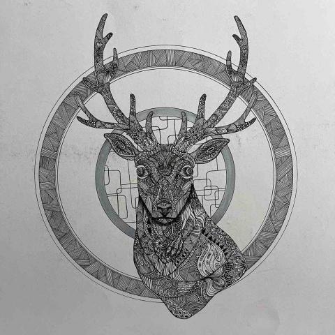 劉子嘉 - 插畫-纏繞畫