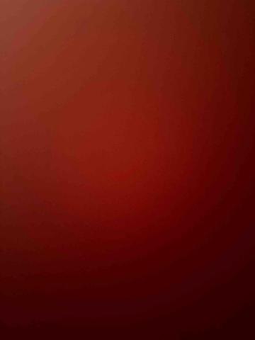 提供鳥寄宿服務的專家yingu