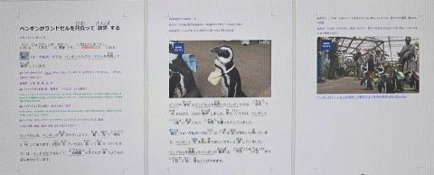 立喬興顧問-小喬 - 新聞記事講義，延伸各種日常話題