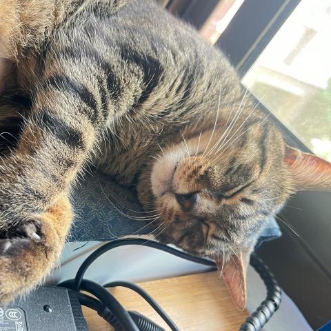 提供88服務的專家小秀