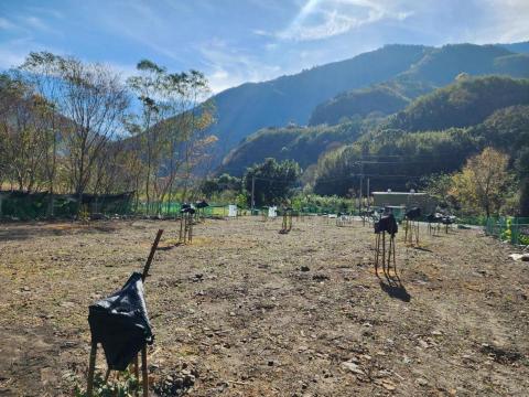 劉仲中 - 整地，種植果樹