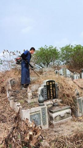 柏君園藝 -  柏君園藝 -