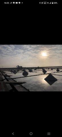 王仲虔 - 台南三日