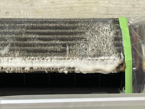 晶飛暘 - 毛小孩有舔拭身體的習慣（舔拭時毛髮易掉落），冷氣室內循環時吸進冷氣就會造成鰭片佈滿毛髮造成散熱不佳



