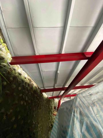 虹力工程 -  虹力工程 -