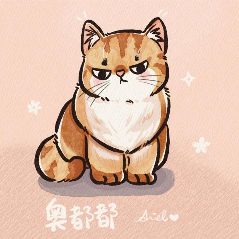 吉吉屋設計工作室 -  吉吉屋設計工作室 -