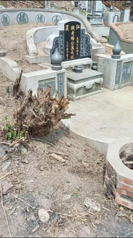 柏君園藝 -  柏君園藝 -