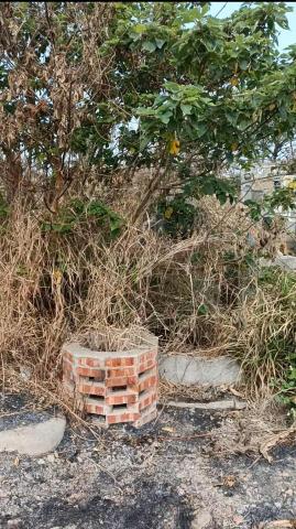 柏君園藝 -  柏君園藝 -