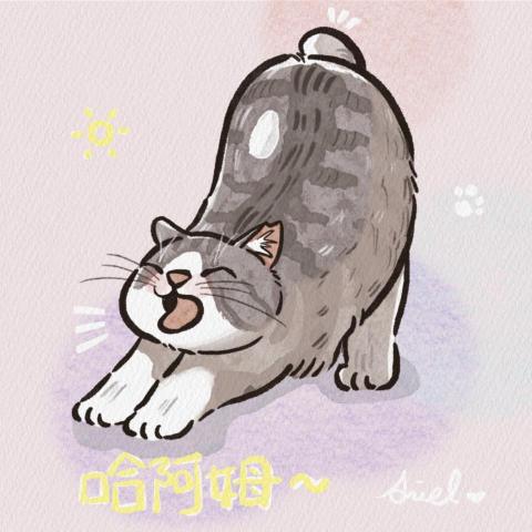 吉吉屋設計工作室 -  吉吉屋設計工作室 -