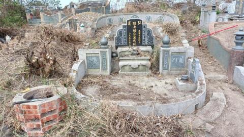 柏君園藝 -  柏君園藝 -