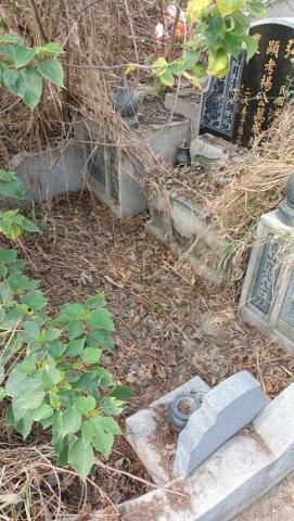 柏君園藝 -  柏君園藝 -