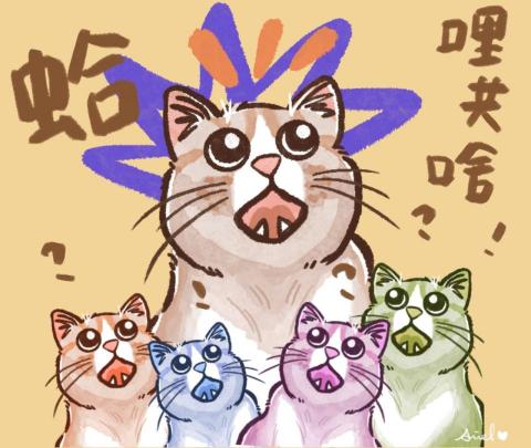 吉吉屋設計工作室 -  吉吉屋設計工作室 -