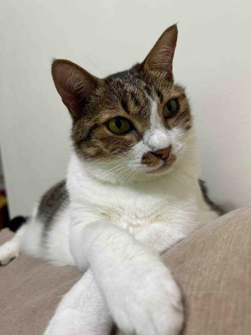 吳佳純 - 老四：嗚妮