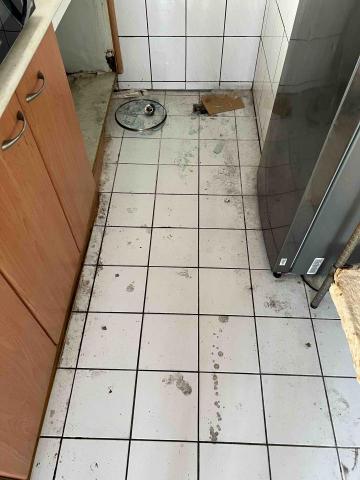 鍾小姐 - 完成前