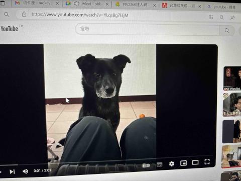 薛婉玲 個人工作室 - 自制影音