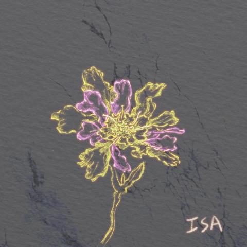 Isa - 花卉電腦繪圖