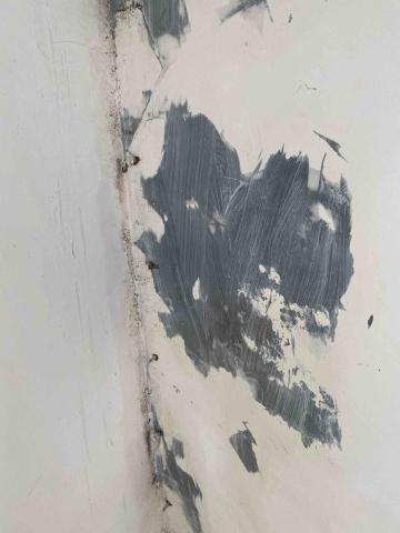 虹力工程 -  虹力工程 -