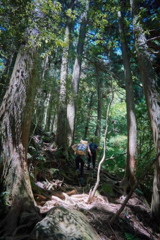 台中攝影師 Abbie - 