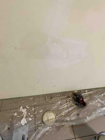 虹力工程 -  虹力工程 -