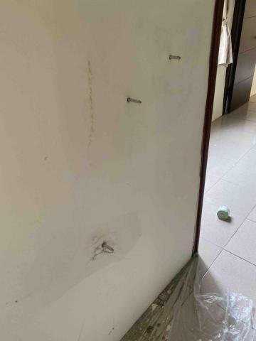 虹力工程 -  虹力工程 -