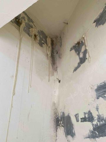 虹力工程 -  虹力工程 -