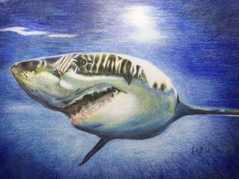 包子個人工作室 - 手繪-色鉛筆 包子個人工作室 - 手繪-色鉛筆