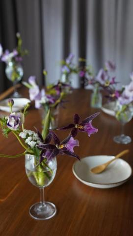 雀室 Cheers Lady Bird - 